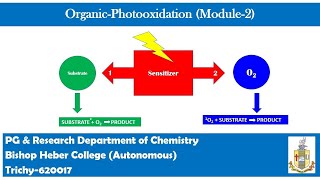 Organic Photooxidation Reaction I Organic Photochemistry [upl. by Conrado]