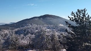 Planina Tara Vrh Gavran 1453mnv Istrazivacka Akcija PSD Magles Valjevo [upl. by Armilla274]