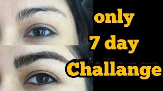 How to grow thicker eyebrows in 7 days challenge naturallyfast my secret ingredient [upl. by Onafets]