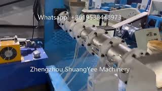 Electric flaoting fish feed extruder machine [upl. by Cornelle438]