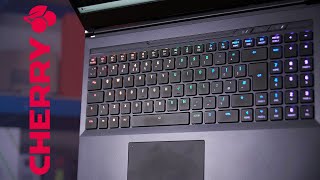 MECHANICAL KEYBOARD in a Laptop XMG Core 16 Review [upl. by Asserak507]