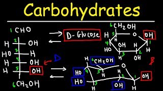 Carbohydrates  Haworth amp Fischer Projections With Chair Conformations [upl. by Sitruc]