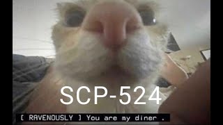 SCP Memes  511 [upl. by Weisbrodt]