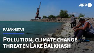 Fears grow as Kazakhstans Lake Balkhash faces pollution and climate threats  AFP [upl. by Eveneg902]