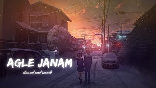 agle janam slowed and reverb  agle janam milna hoga  agle janam  agle janam lofi [upl. by Jeconiah]