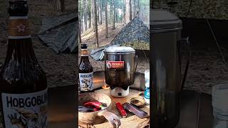 Tent Bivi Bag or Tarp Vs Strong winds Wild Camping shorts strongwinds wind shortvideo camping [upl. by Annaeoj]