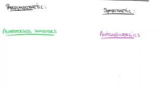 The Effects of Acetylcholinesterase Inhibitors and Anticholinergics [upl. by Isabelle851]