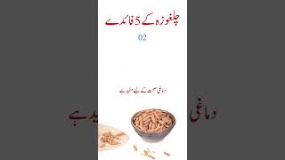 Pine Nuts benefits  Chilgoza kay fayde in urdu  ‪AureusHealthCare [upl. by Filippo66]