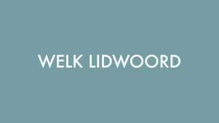 Nederlands Leren  Welk Lidwoord [upl. by Anaihk]