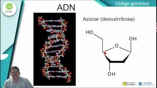 Clases de Biología  Código Genético [upl. by Berners]