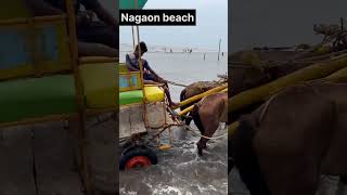 A day in Alibhag…viral shorts travel trending beach kokan youtubeshorts youtube monsoon [upl. by Oneida]