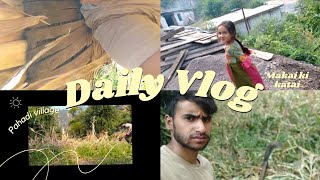 PAHADI VILLAGE VLOG MAKHI KE KATHI pahadivillagelife pahadivlogs [upl. by Bandur]