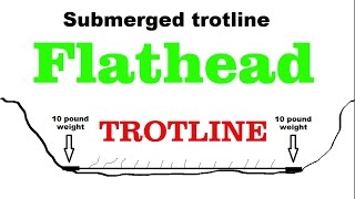 What type of trotline should I use  Trotliners [upl. by Ahsilahs639]