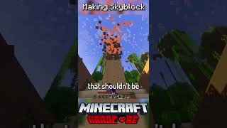 I Made Skyblock in Minecraft Hardcore 13 [upl. by Aikemot]