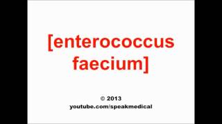 Pronounce Enterococcus faecium  SpeakMedical [upl. by Forster]