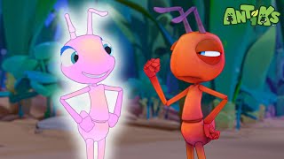 GLOW IN THE DARK ANTS  Antiks  Funny Cartoons For Kids  Compilation [upl. by Dorthea667]