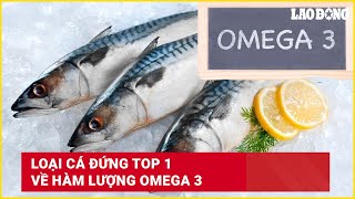 Loại cá đứng top 1 về hàm lượng omega 3  Báo Lao Động [upl. by Greeson429]