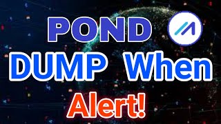 Pond coin Price Prediction Today Marlin POND News Today Marlin Crypto [upl. by Busby601]