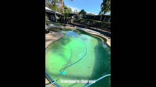 Green pool to clear pool using floc greenpool poolcleaning dirtypool poolcare [upl. by Nomit]