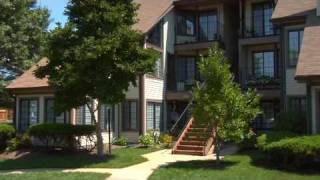 Alexandria VA Real Estate  Manchester Lakes Tour [upl. by Poucher]