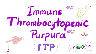 Immune Thrombocytopenia ITP — Most COMPREHENSIVE Explanation — Hematology [upl. by Ellerrehc]