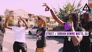 CALIFORNIA HOOD TOUR JORDAN DOWNS PROJECTS  GRAPE STREET WATTS [upl. by Ennalyrehc605]