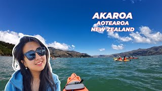 Akaroa Kayaking and Kaikōura Kahawai Catch and Cook [upl. by Annauqaj]