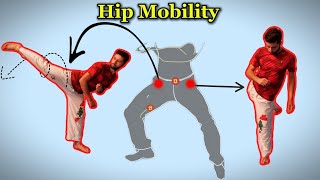 Top 7 Stretching Exercises to Improve Hip Mobility and Flexibility [upl. by Eidua]