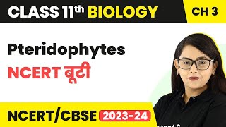 Pteridophytes  NCERT बूटी  Plant Kingdom  Class 11 Biology Chapter 3  NCERTCBSE [upl. by Soalokin]