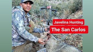 javelina Hunt on the San Carlos 2024 [upl. by Eussoj]