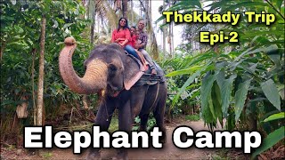 Elephant Ride and Bathing Elephant Camp  Thekkady Thekkady Tourist Places [upl. by Kong84]