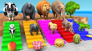 Cow Elephant Lion Gorilla TRex Choose the RIGHT Animal ESCAPE ROOM CHALLENGE Animal Cage Game [upl. by Ferne]