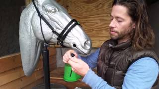 Ultimate Bitless Bridle UBB  How to put on and Adjust the UBB [upl. by Pazice565]