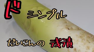 【きょうの料理】ドシンプル！ド簡単に大根をつけてみた！ [upl. by Assilev]