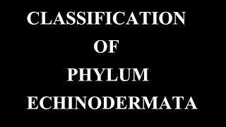 Echinoderms classification [upl. by Anola]