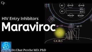 HIV therapy Maraviroc Mechanism of Action and Resistance【USMLE Pharmacology】 [upl. by Namron215]