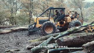 Abattage  du bûcheron au grumier Vosges 2021 🌲🚜🚚🇨🇵 [upl. by Loren]