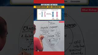 Chromosome Vs Chromatids neet2025 nursing cell [upl. by Nonnaer]