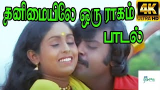 தனிமையிலே ஒரு ராகம் Thanimaiyile Oru RaagamSN Surender S Janaki Love Duet H D Song [upl. by Earised656]