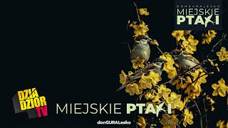 DGE  MIEJSKIE PTAKI prod kbbeatz MIEJSKIE PTAKI [upl. by Kosse]