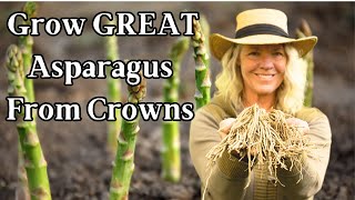 Growing GREAT Asparagus from Crowns for a Successful Harvest [upl. by Akenor]