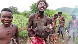 OMG HADZABE HUNTERS HAD A GOOD HUNT TODAY HADZABE TRIBE ORGINAL HUNTERS IN LAKE EYASI KARATU [upl. by Lapides716]