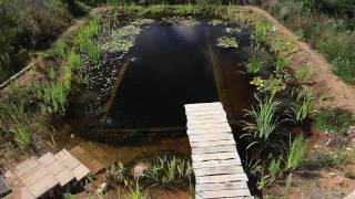 Natural Pools  Organic Pools selfbuild [upl. by Ahtiek]