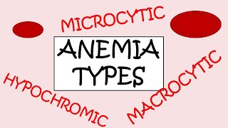 3 MAJOR TYPES OF ANEMIA [upl. by Alesiram]