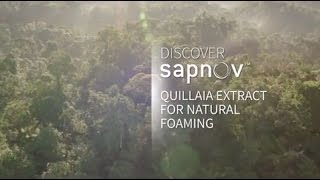 NATUREX Personal Care  discover Sapnov™ Quillaia extract for natural foaming [upl. by Lachance]