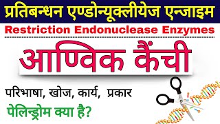 आण्विक कैंची  restriction enzymes  molecular scissors in Hindi  Restriction Endonuclease Enzymes [upl. by Aidroc]