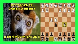 GANA en SOLO 4 MOVIMIENTOS 🔥 TRAMPA de ajedrez CON NEGRAS en Gambito de Rey [upl. by Ainehs]