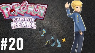 Jornada Pokémon Shining Pearl 20 Lutra contra Volkner [upl. by Nawed]