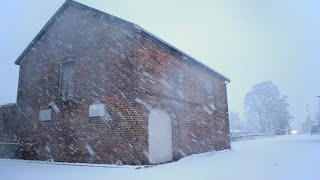 My winter residence is a derelict coach house in a car park [upl. by Eisinger]