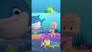 Diversión con Baby Shark  Divíértete y aprende con Cleo y Cuquin [upl. by Inram]